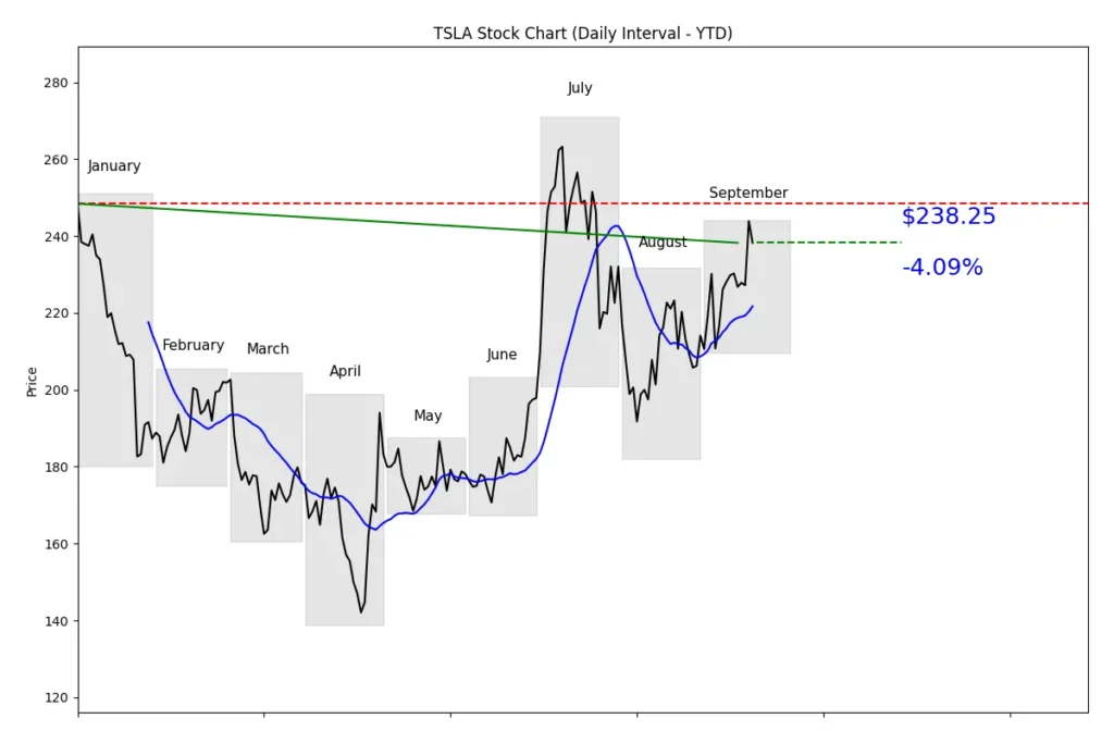 TESLA TSLA stock chart ytd 2024